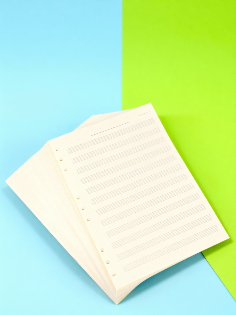 Blank Sheet Music Notebook - 100장 분량의 악보용 종이, 5줄 악보,